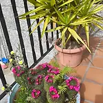 El Mirador De Casa de Férias