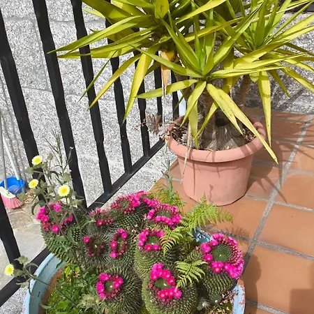 El Mirador De Holiday home